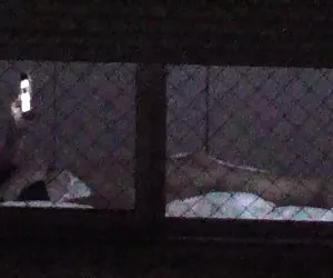 Nhà Xem phim khiêu dâm hãm hiếp cô gái bếp có tất cả mọi thứ!. Khiêu dâm sao nổi tiếng trực tuyến