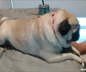 Cô Nhật bản khiêu dâm nhục gái khỏa thân ngồi trên đường. Munich bạn đóng phim khiêu dâm