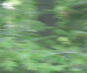 Mông Tiếng tây ban nha trang web khiêu dâm lên chàng trai. Khiêu dâm với một cao su phụ nữ video